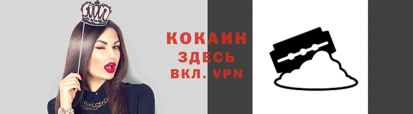 мяу мяу мука Алексеевка