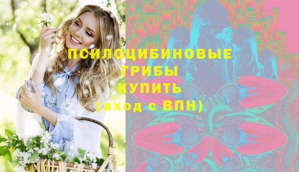 кокс Алексин