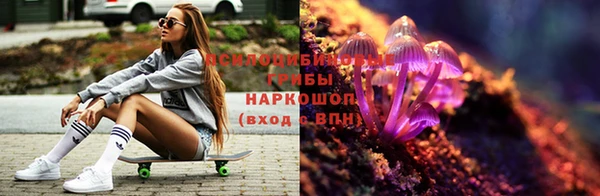 трава Алзамай